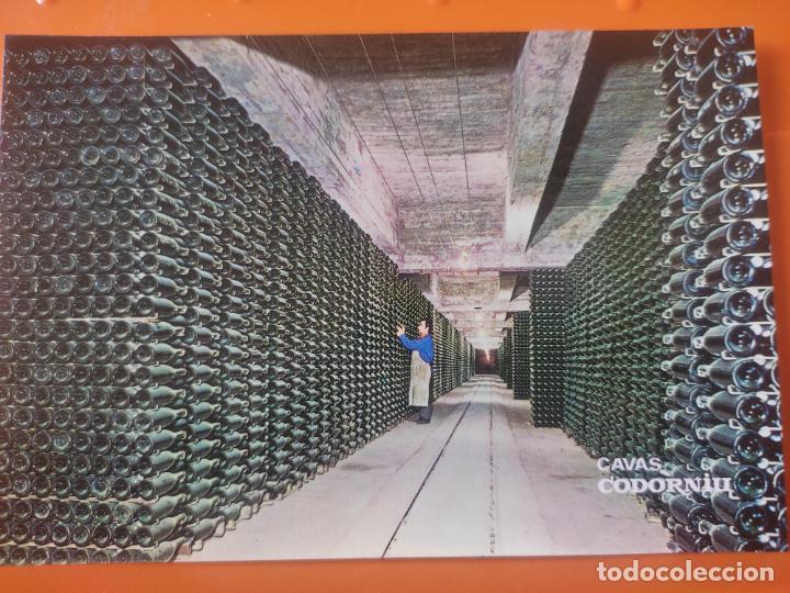Postales: CODORNIU CAVAS SELECCION 1985 BODEGA BOTELLAS ENVEJECIENDO SC POSTAL