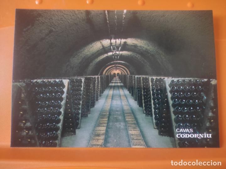 Postales: CODORNIU CAVAS SELECCION 1985 BODEGA BOTELLAS ENVEJECIENDO PUPITRE SC POSTAL