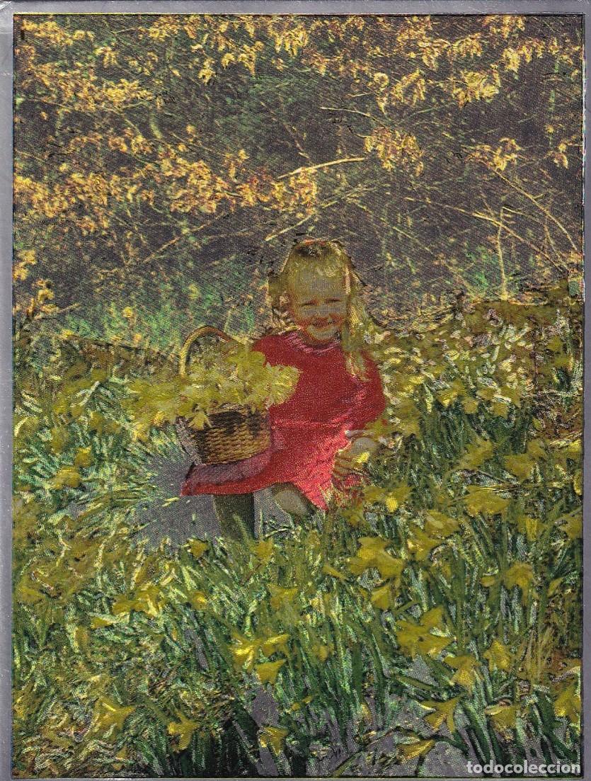 Postales: Ni&ntilde;a rodeada de flores - Warren N&uacute;m. 21 / Efecto plateado
