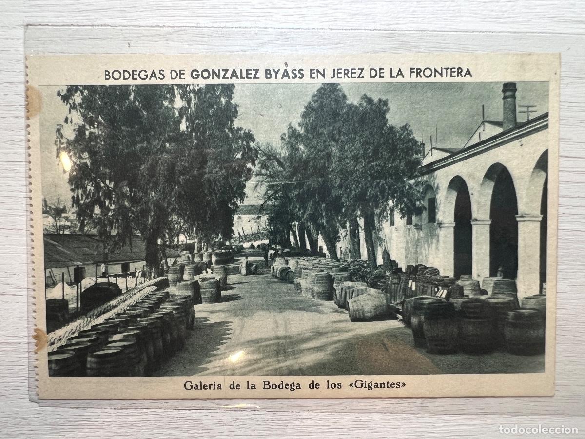 Cartoline: POSTAL. BODEGAS GONZALEZ BYASS N&ordm;33. JEREZ. GALERIA DE LA BODEGA DE LOS GIGANTES