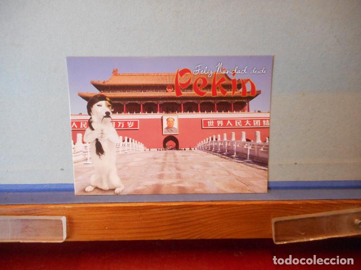 Postais: DIVERTIDA POSTAL DE NAVIDAD. LA PRIMITIVA. LOTERIAS DEL ESTADO.