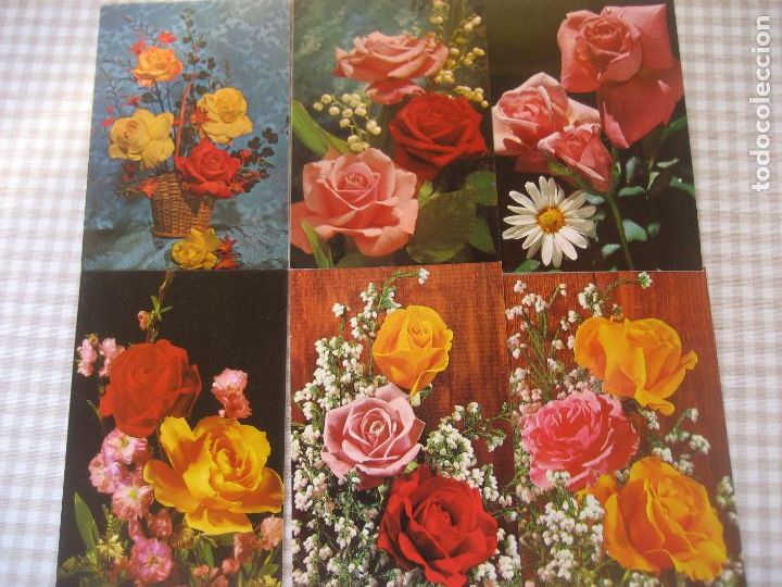 Postales: Rosas. 6 postales C y Z - Foto 1