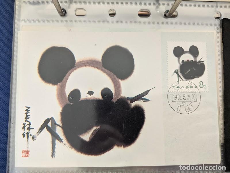 Cartes Postales: POSTAL Oso panda