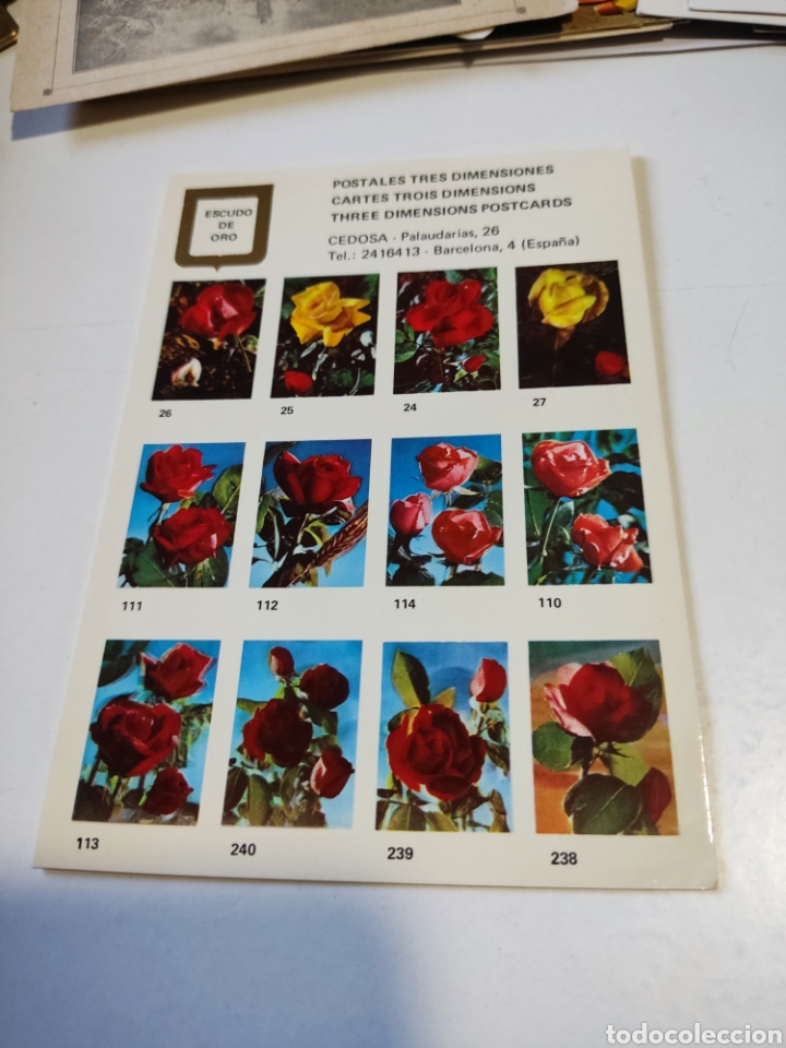 Postais: Postal cat&aacute;logo Postales tres dimensiones,rosas