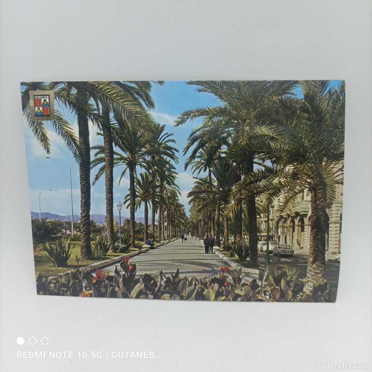 Postales: POSTAL 15X21 -MALLORCA - Foto 1