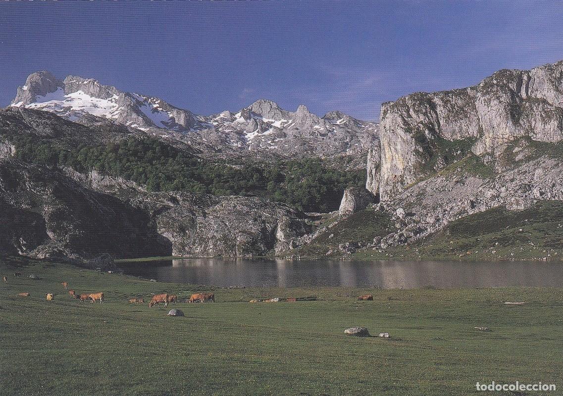 Postales: Cangas de On&iacute;s - Postal - Foto 1