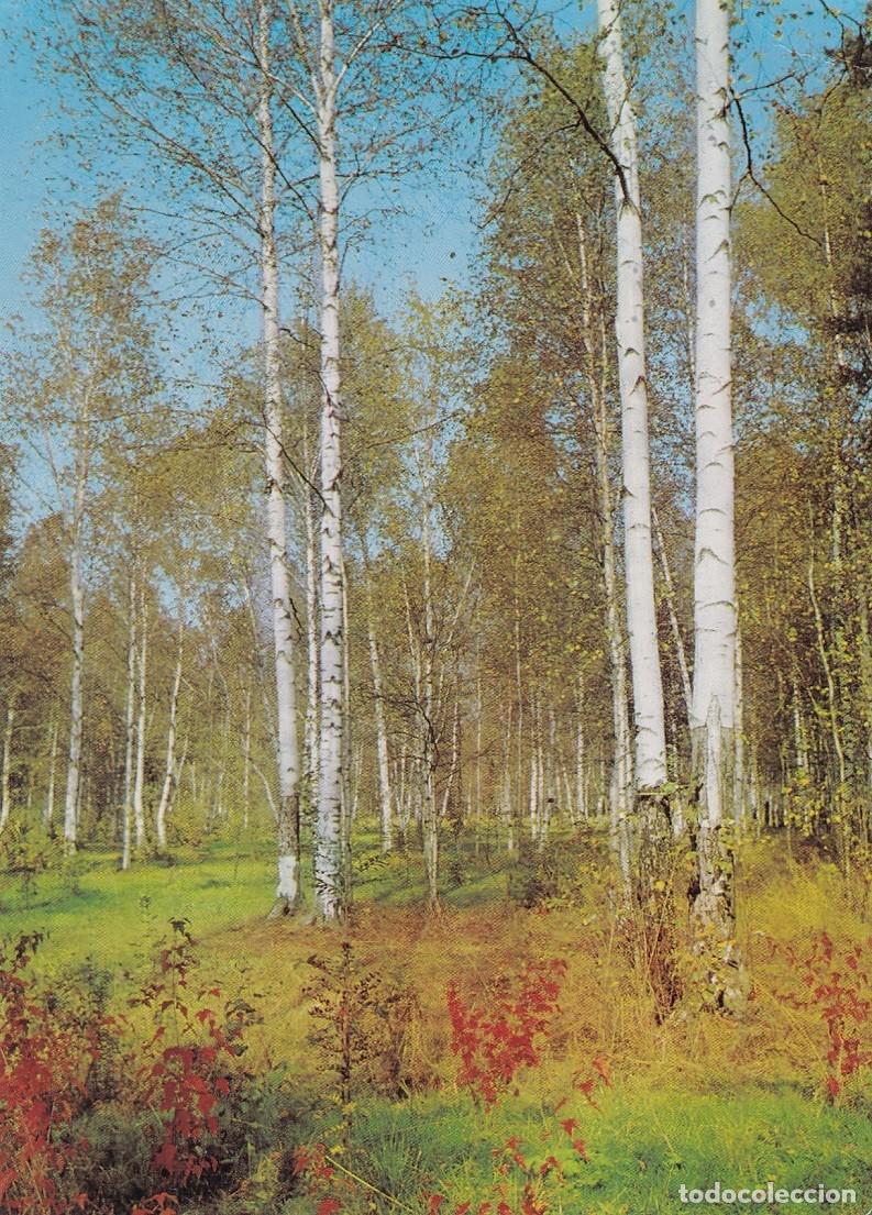 Postkarten: In the Environs of Minsk - Visit the USSR &middot; Intourist