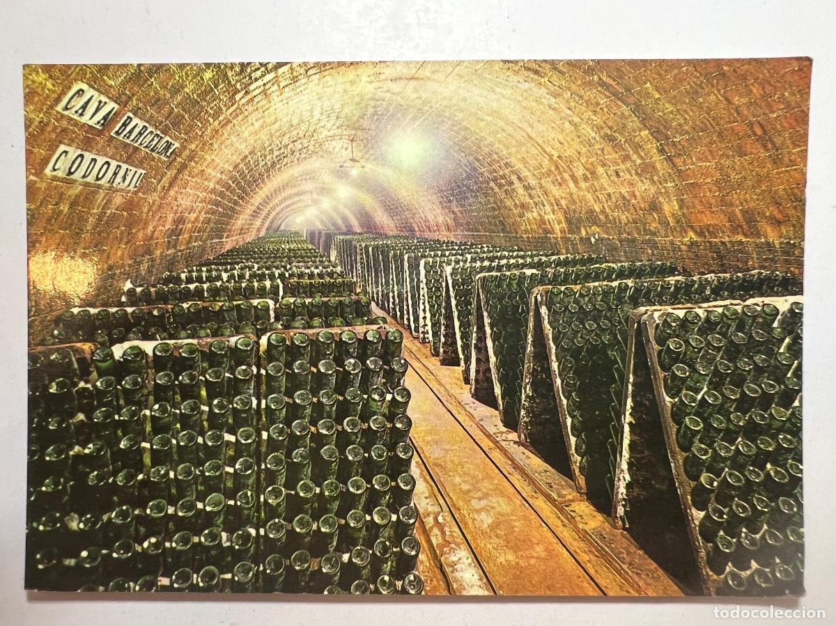 Postales: POSTAL. CAVAS CODORNIU. BOTELLAS EN PUPITRE - Foto 1