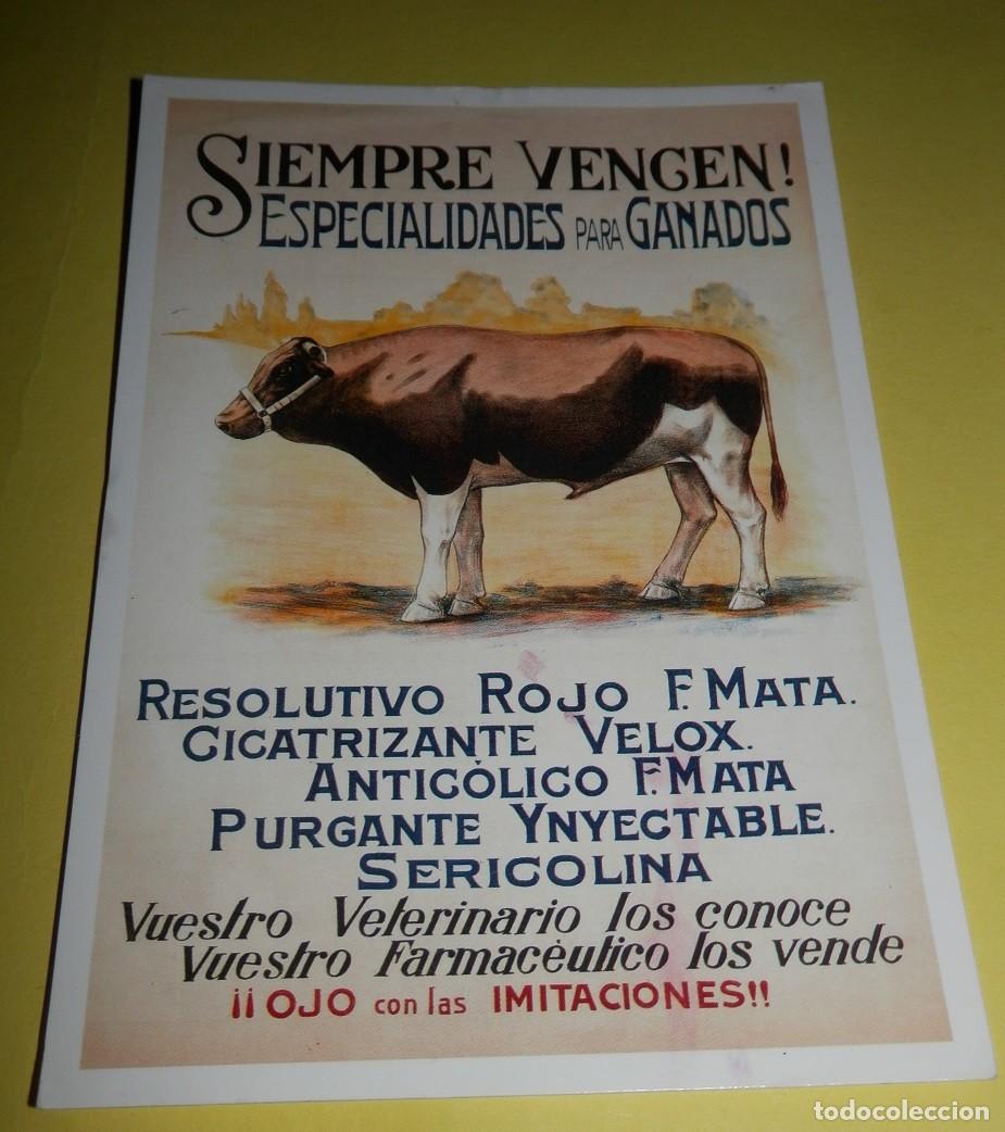 Postales: TARGETA POSTAL SIEMPRE VENGEN - Foto 1