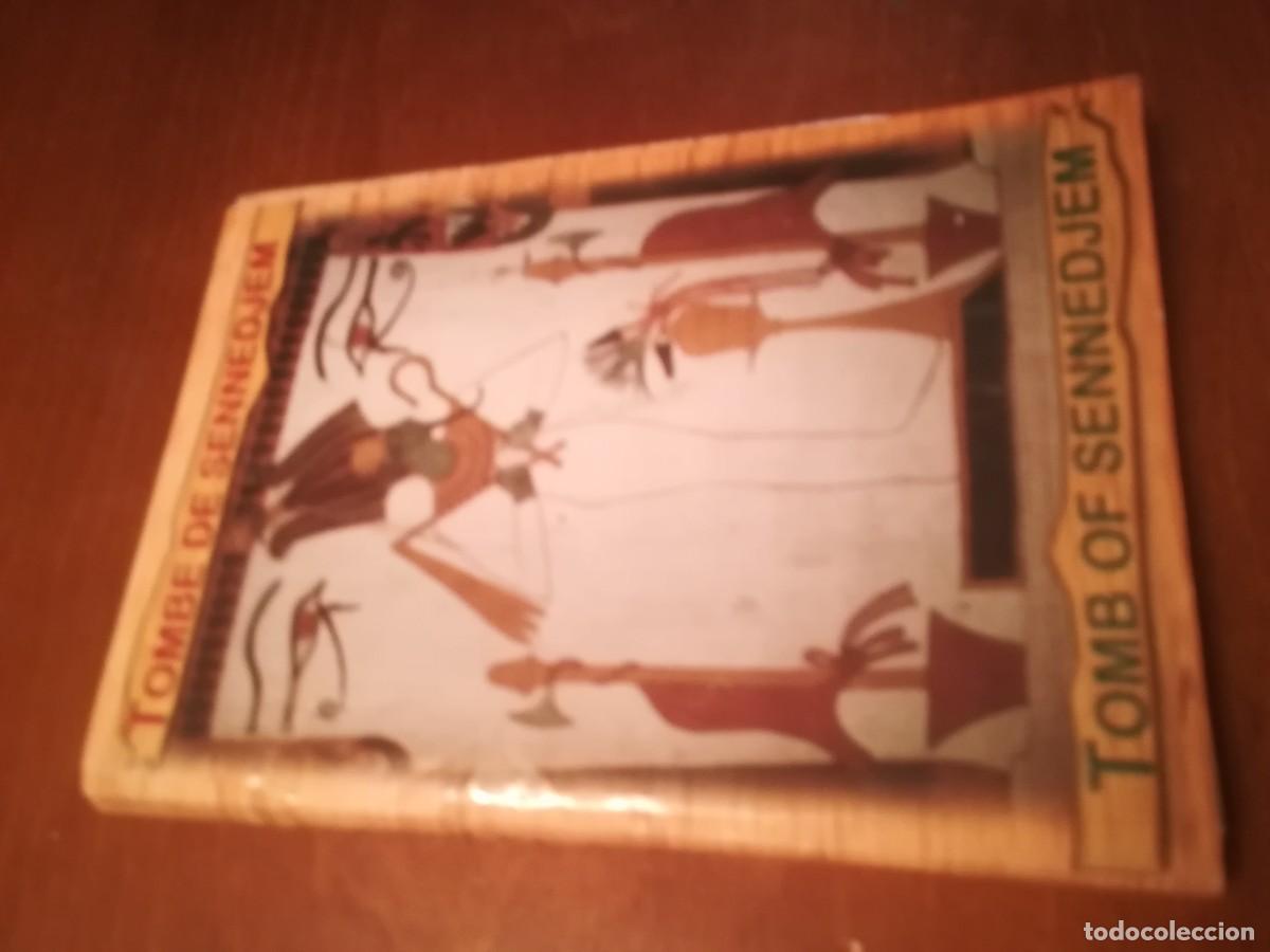 Postales: TOMBE SENNEDJEM / EGIPTO / CONS540 - Foto 2