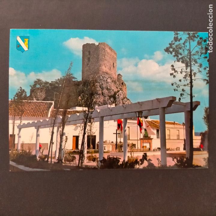 Postales: postal vista de olvera cadiz - exclusivas ediciones rosario - Foto 1