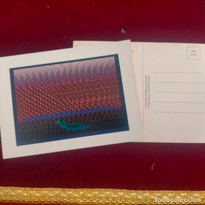 Cartoline: POSTAL A&Ntilde;OS 90S BLUME CON IMAGEN EN 3D TRES DIMENSIONES 3 D