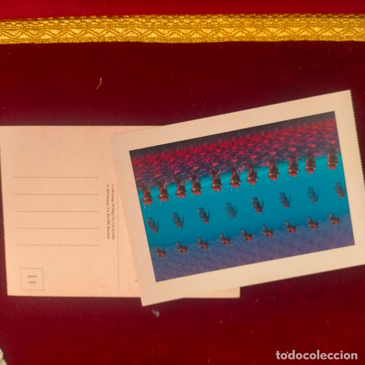 Cartoline: POSTAL A&Ntilde;OS 90S BLUME CON IMAGEN EN 3D TRES DIMENSIONES 3 D
