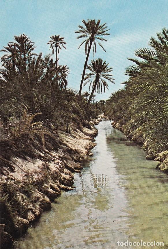 Postales: 331 Tozeur - Postal sin circular - Foto 1