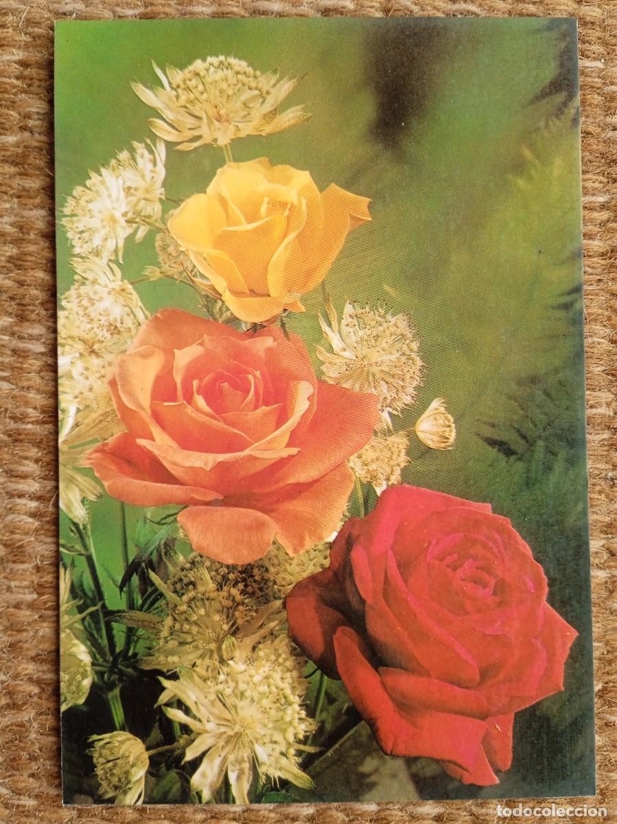 Postcards: ROSAS Y FLORES