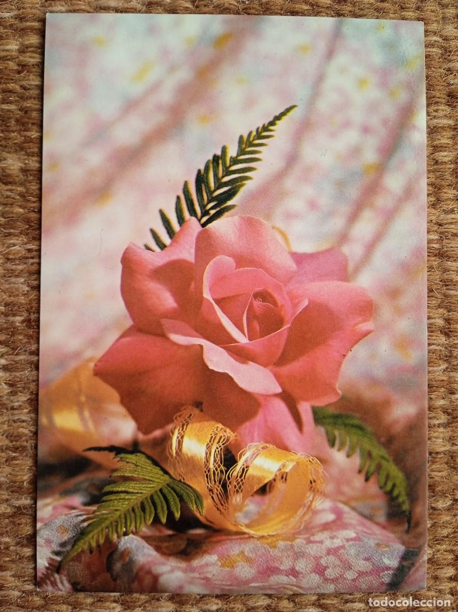 Postales: ROSA - Foto 1