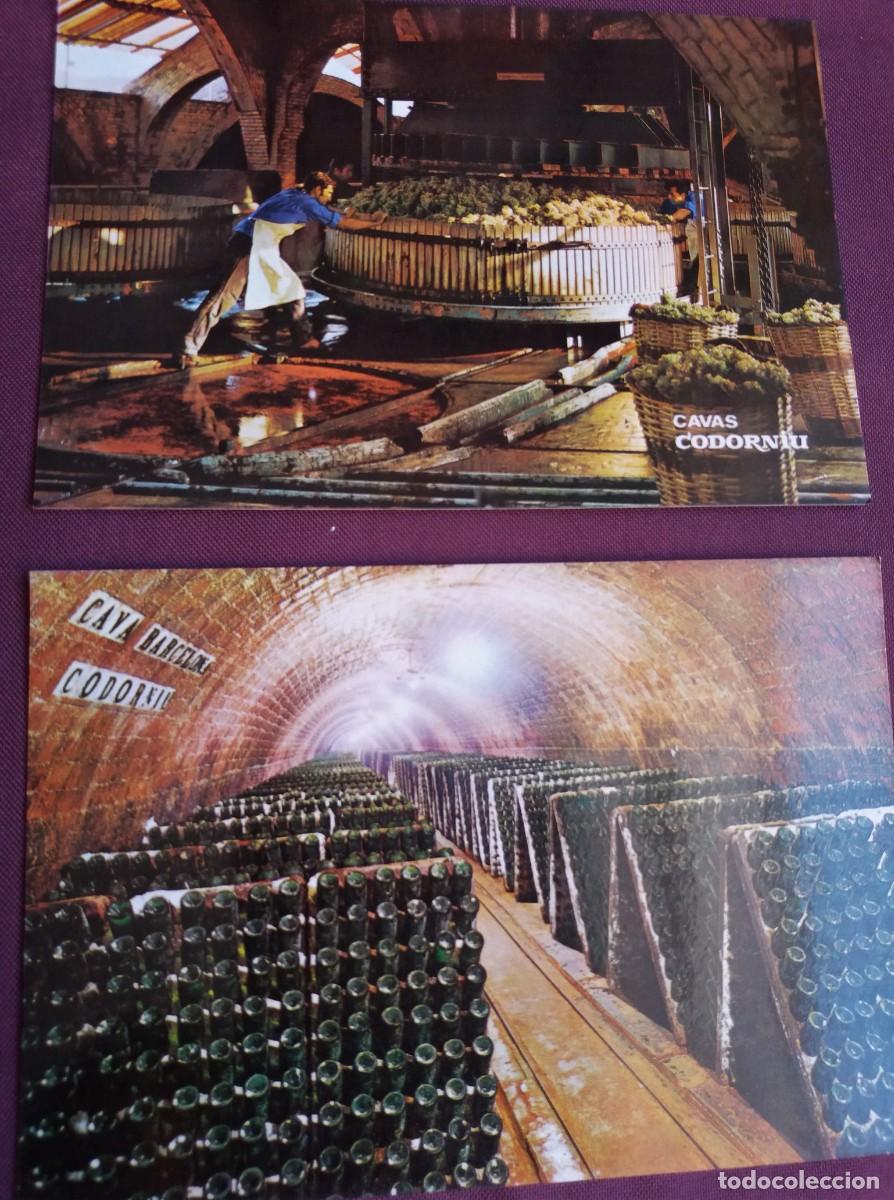 Postales: Conjunto de postales de las cavas Codorniu - Foto 6