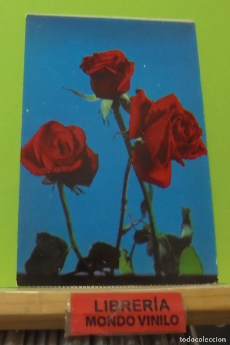 Postcards: 3 - Postal de flores, Rosa de san Jorge, 10x15 cm