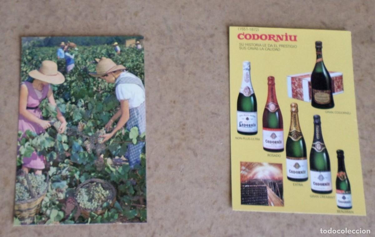 Postales: Estuche postales Cavas CODORNIU - Foto 3