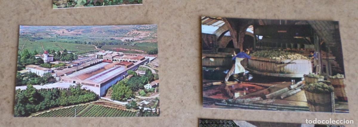 Postales: Estuche postales Cavas CODORNIU - Foto 4