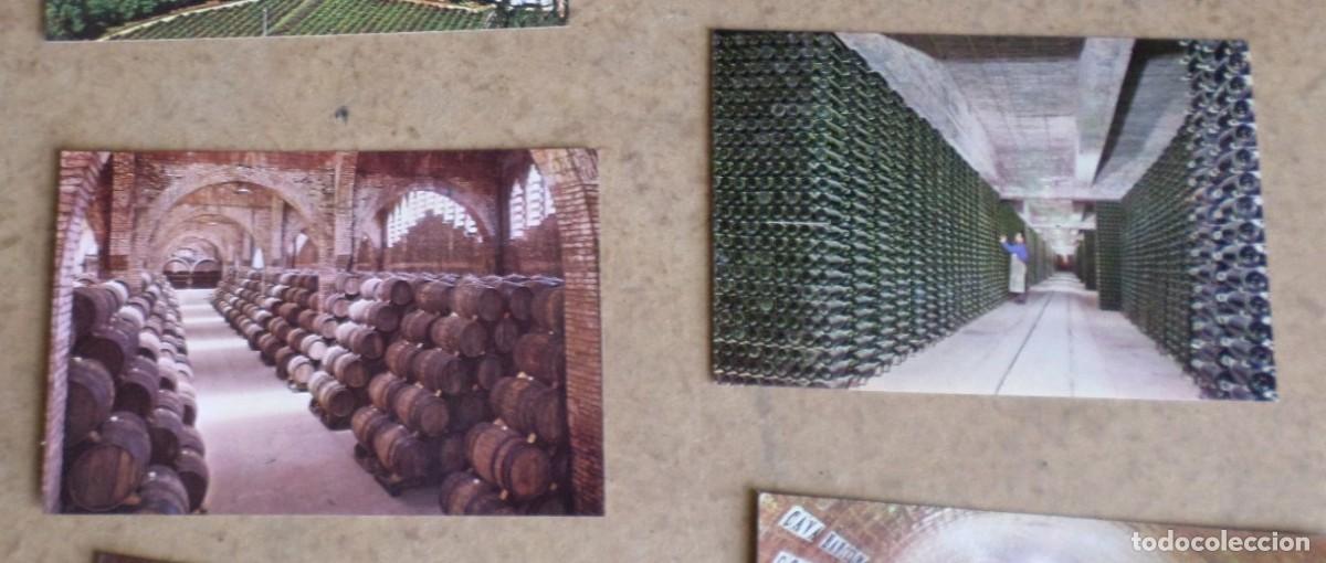 Postales: Estuche postales Cavas CODORNIU - Foto 5