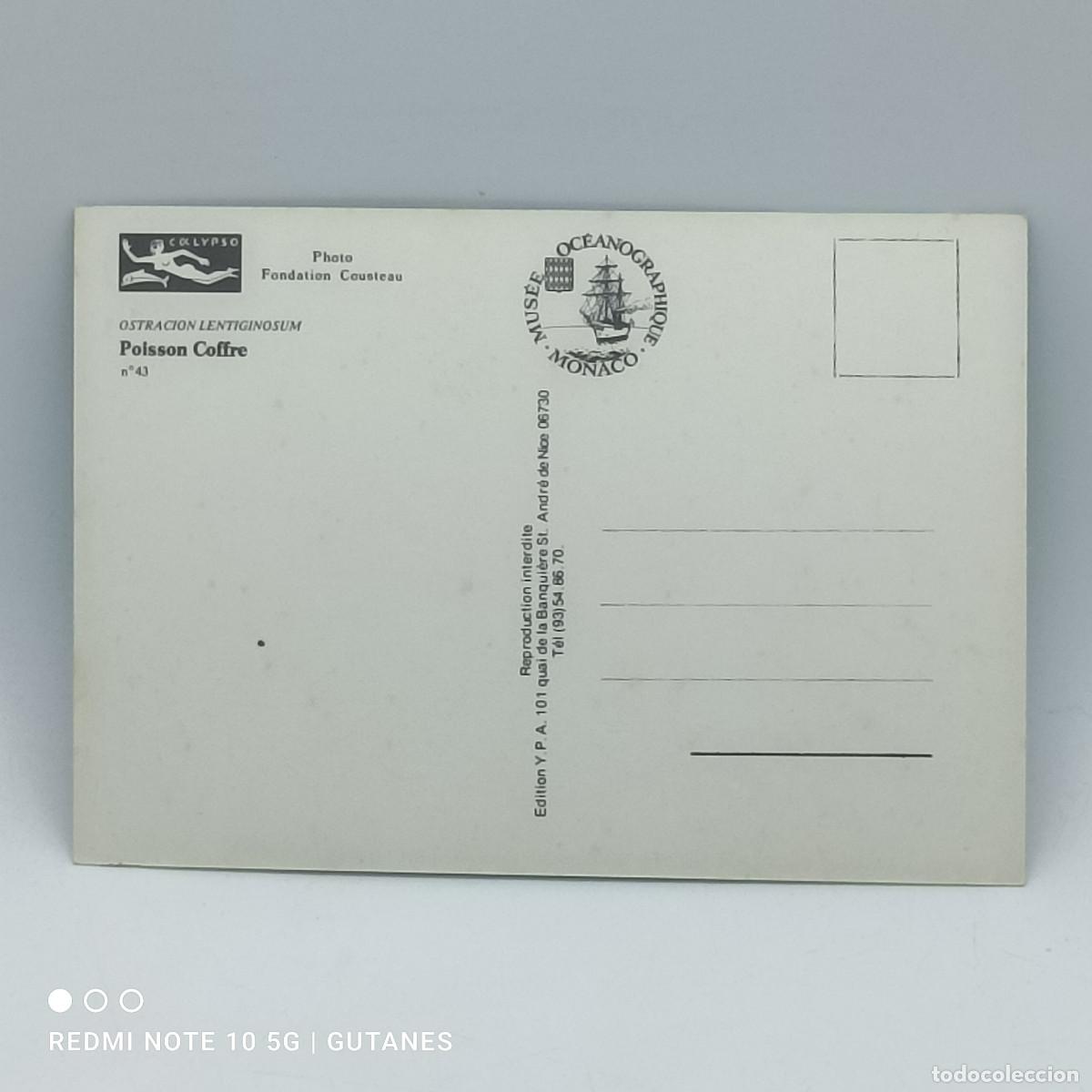 Postales: POSTAL-FUNDACION COUSTEAU - Foto 2