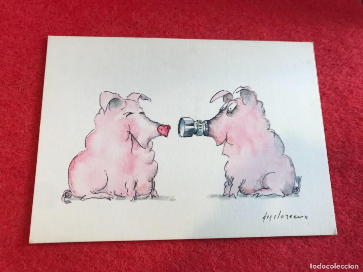 Postales: DESCLOZEAUX. PHOTO COCHONNE. 15X10 CM. 1979, FRANCE.