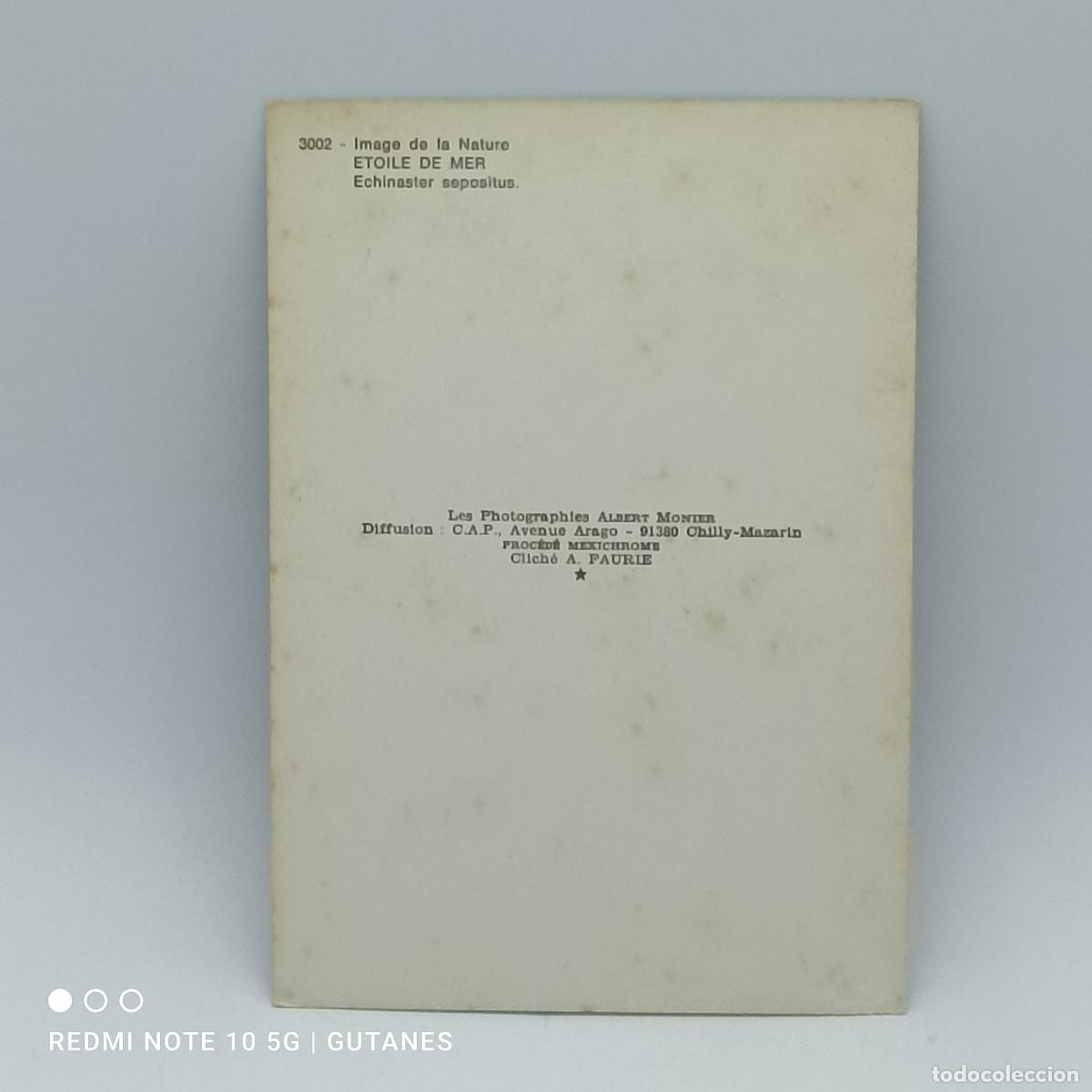 Postales: POSTAL-ALBERT MONIER - Foto 2
