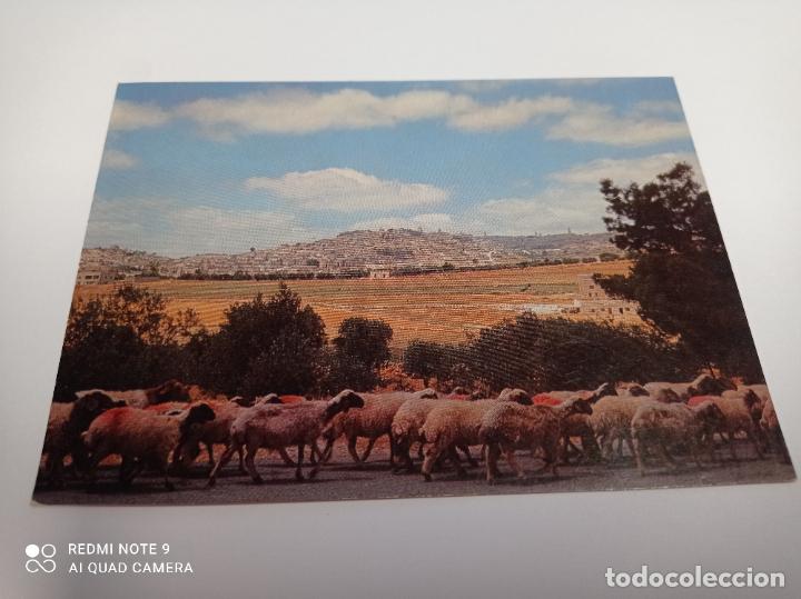 Postales: Postal, Tierra Santa - Foto 1
