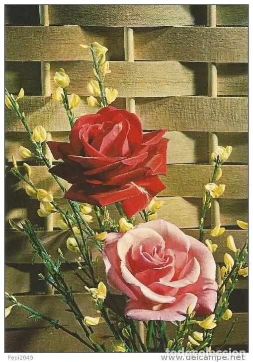 Postales: :::: A740 - POSTAL - BONITO RAMO DE ROSAS - Foto 1