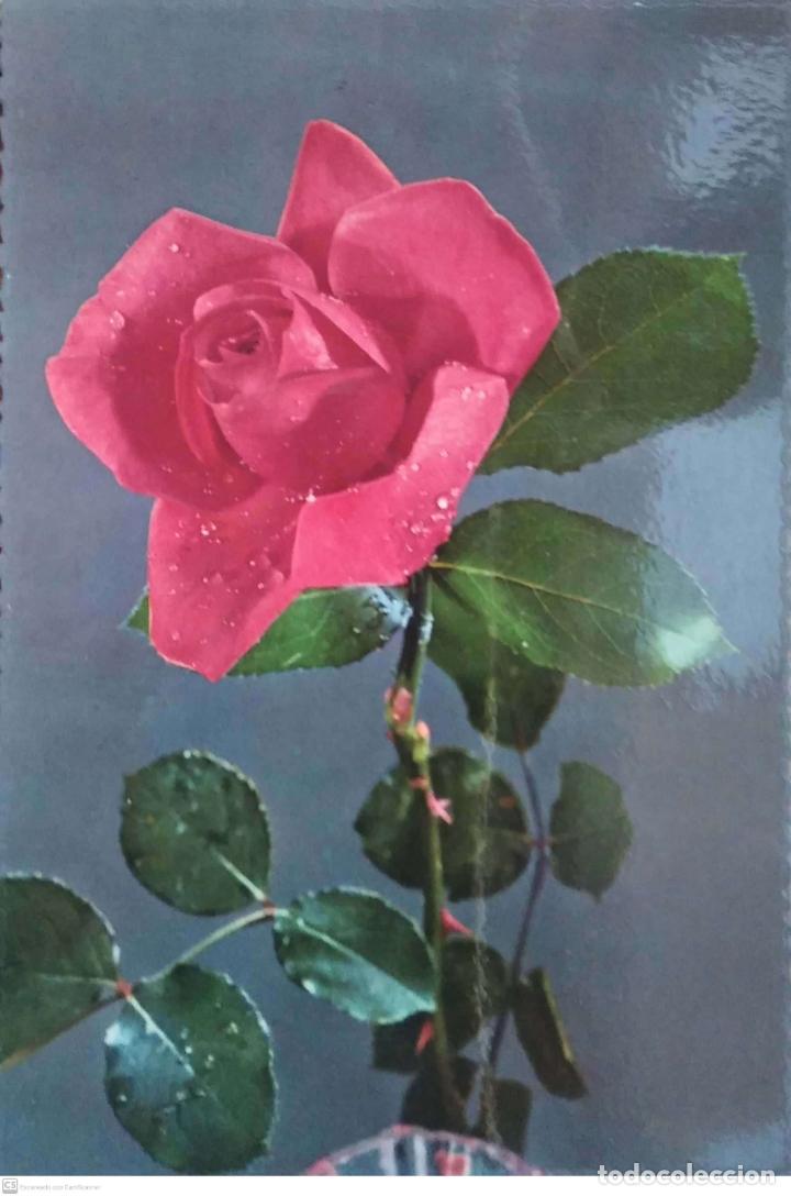 Postales: Ancla 13040 Rosa roja. Usada. Color - Foto 1
