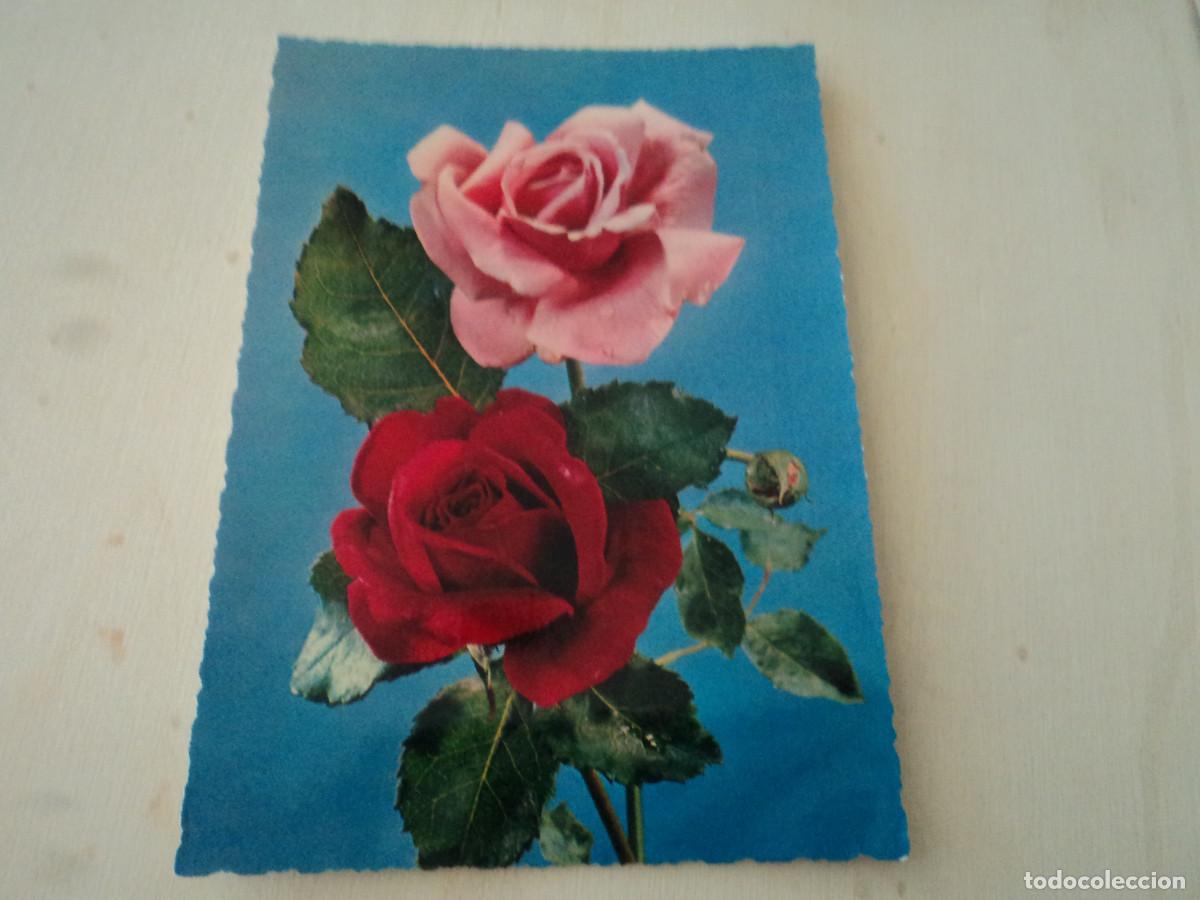 Postales: rosas, cecami 370, circulada - Foto 1