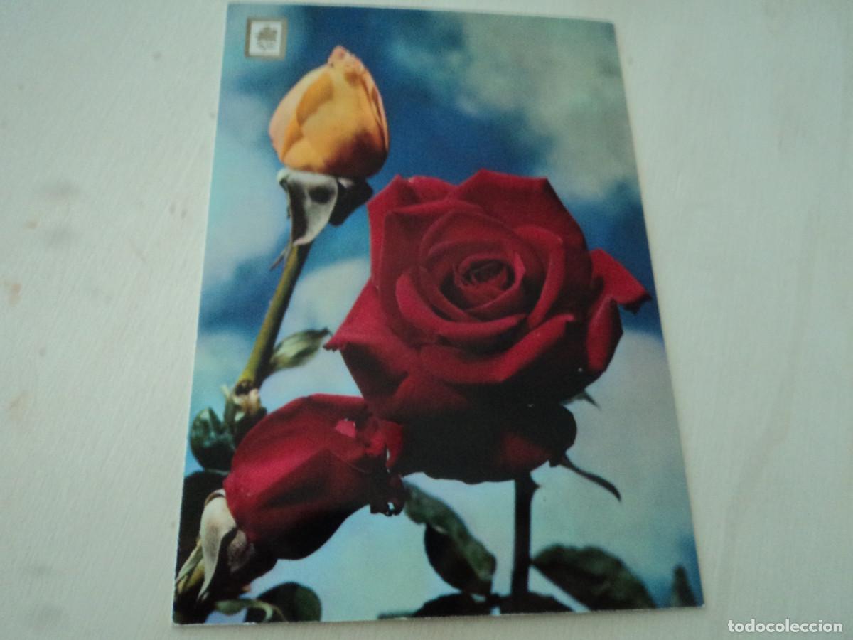 Postais: n&ordm; 5 coleccion flores, ed. escudo