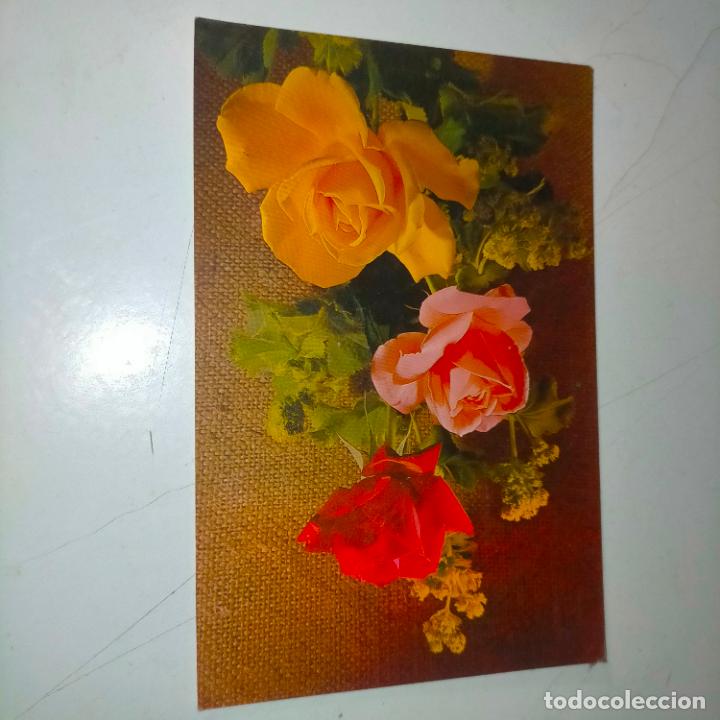 Postkarten: HAGA SU OFERTA .... Antigua postal - PAISAJES FLORES PLANTAS