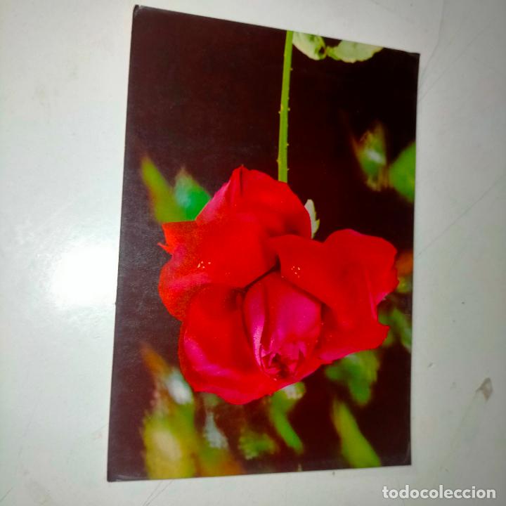 Postkarten: HAGA SU OFERTA .... Antigua postal - PAISAJES FLORES PLANTAS