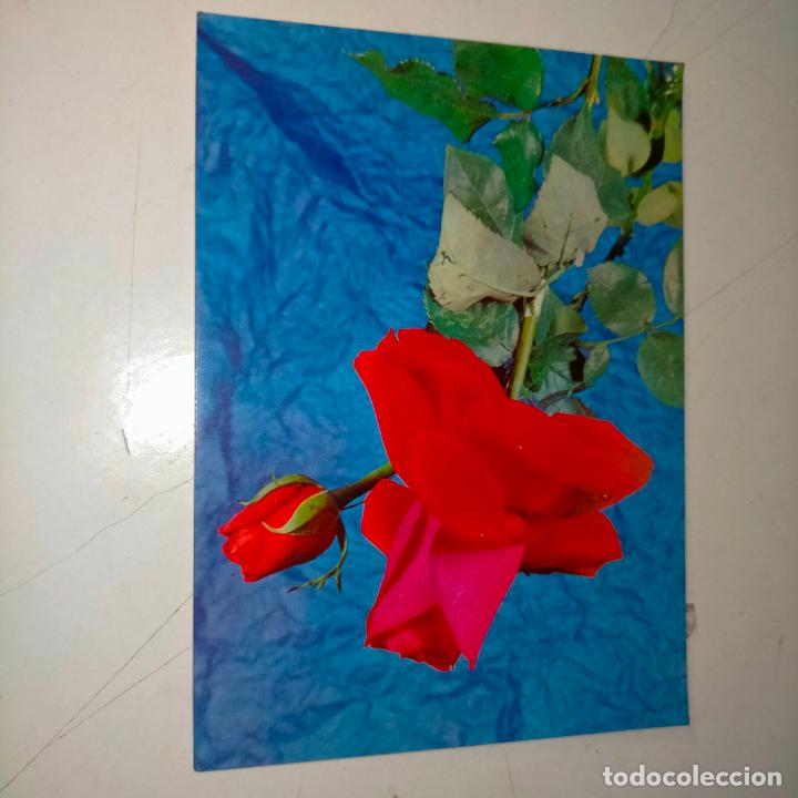 Postkarten: HAGA SU OFERTA .... Antigua postal - PAISAJES FLORES PLANTAS
