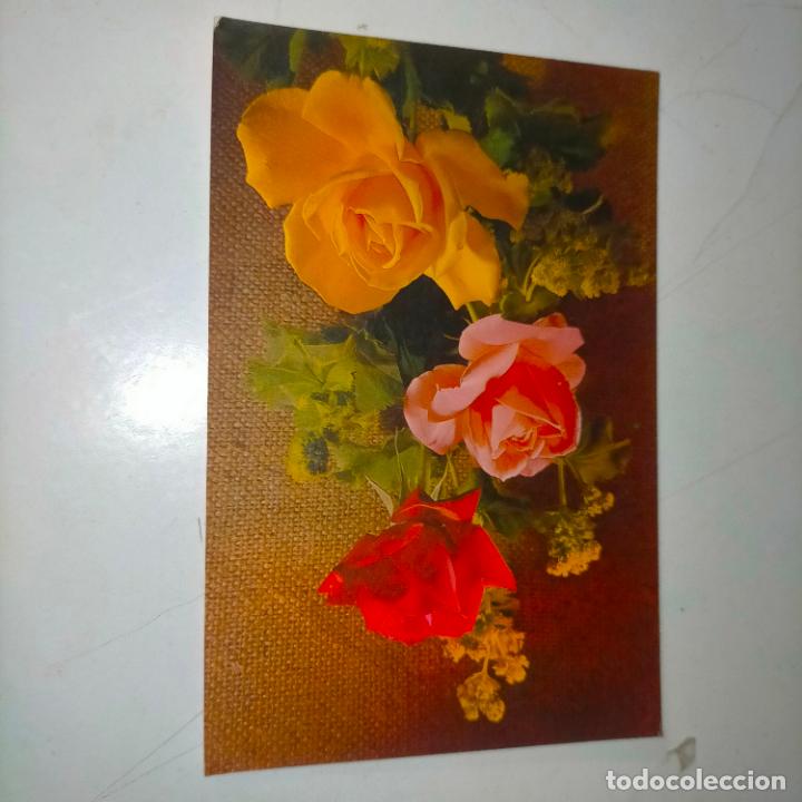 Postkarten: HAGA SU OFERTA .... Antigua postal - PAISAJES FLORES PLANTAS