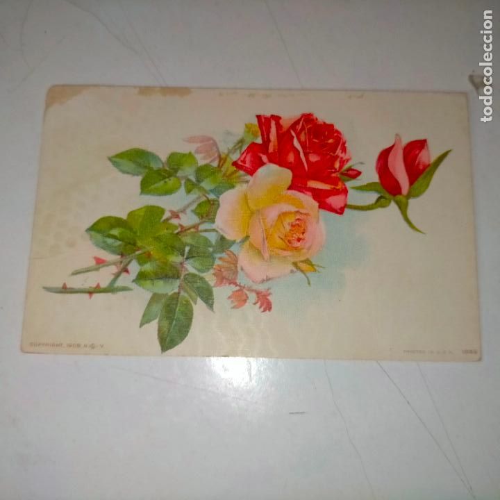 Postkarten: HAGA SU OFERTA .... Antigua postal - PAISAJES FLORES PLANTAS