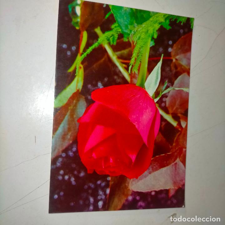 Postkarten: HAGA SU OFERTA .... Antigua postal - PAISAJES FLORES PLANTAS