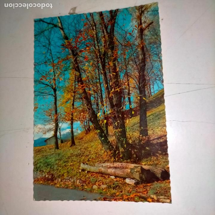Postkarten: HAGA SU OFERTA .... Antigua postal - PAISAJES MONTA&Ntilde;A
