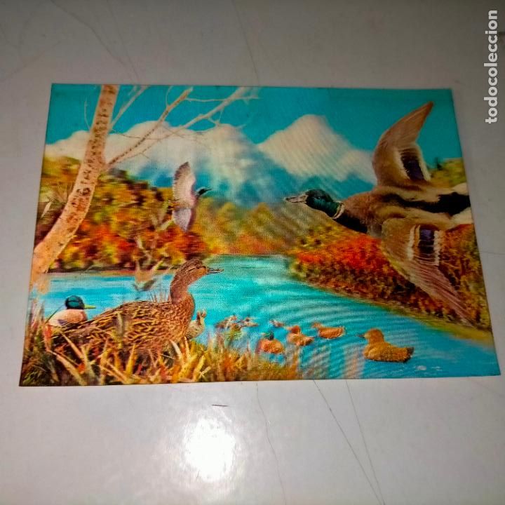 Postkarten: HAGA SU OFERTA .... Antigua postal - 3D TRES DIMENSIONES AVES PATOS ASAHI TRADING