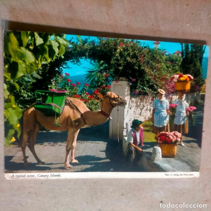 Postkarten: HAGA SU OFERTA .... Antigua postal - Islas Canarias Gran Canaria