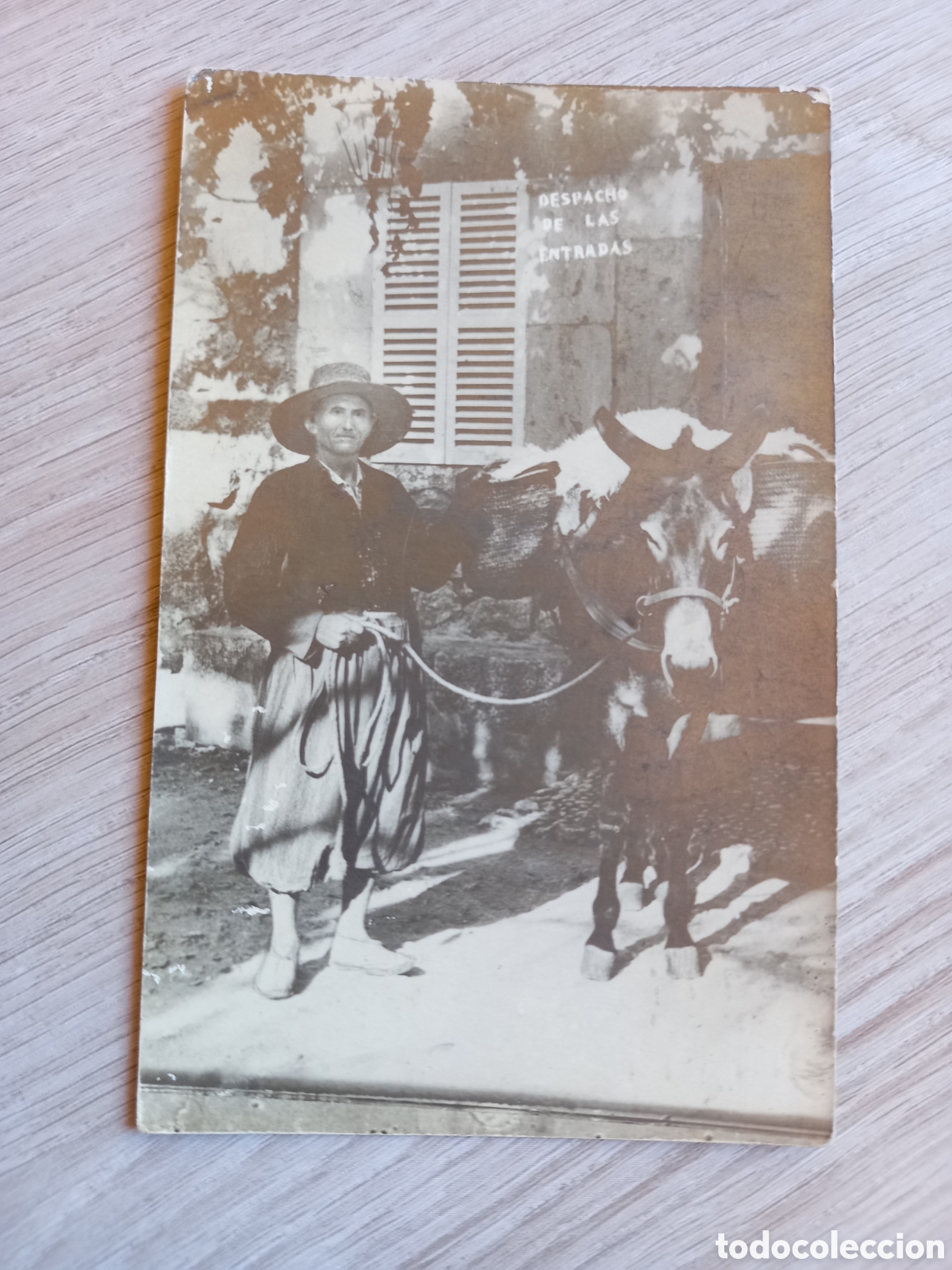 Postales: ANTIGUA POSTAL SE&Ntilde;ORA CON ASNO