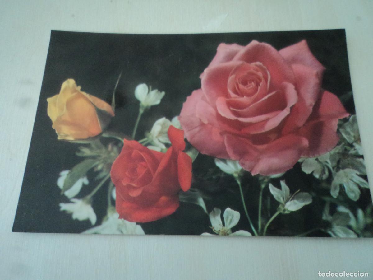 Postales: rosas, c y z 7718/27 a, circulada - Foto 1