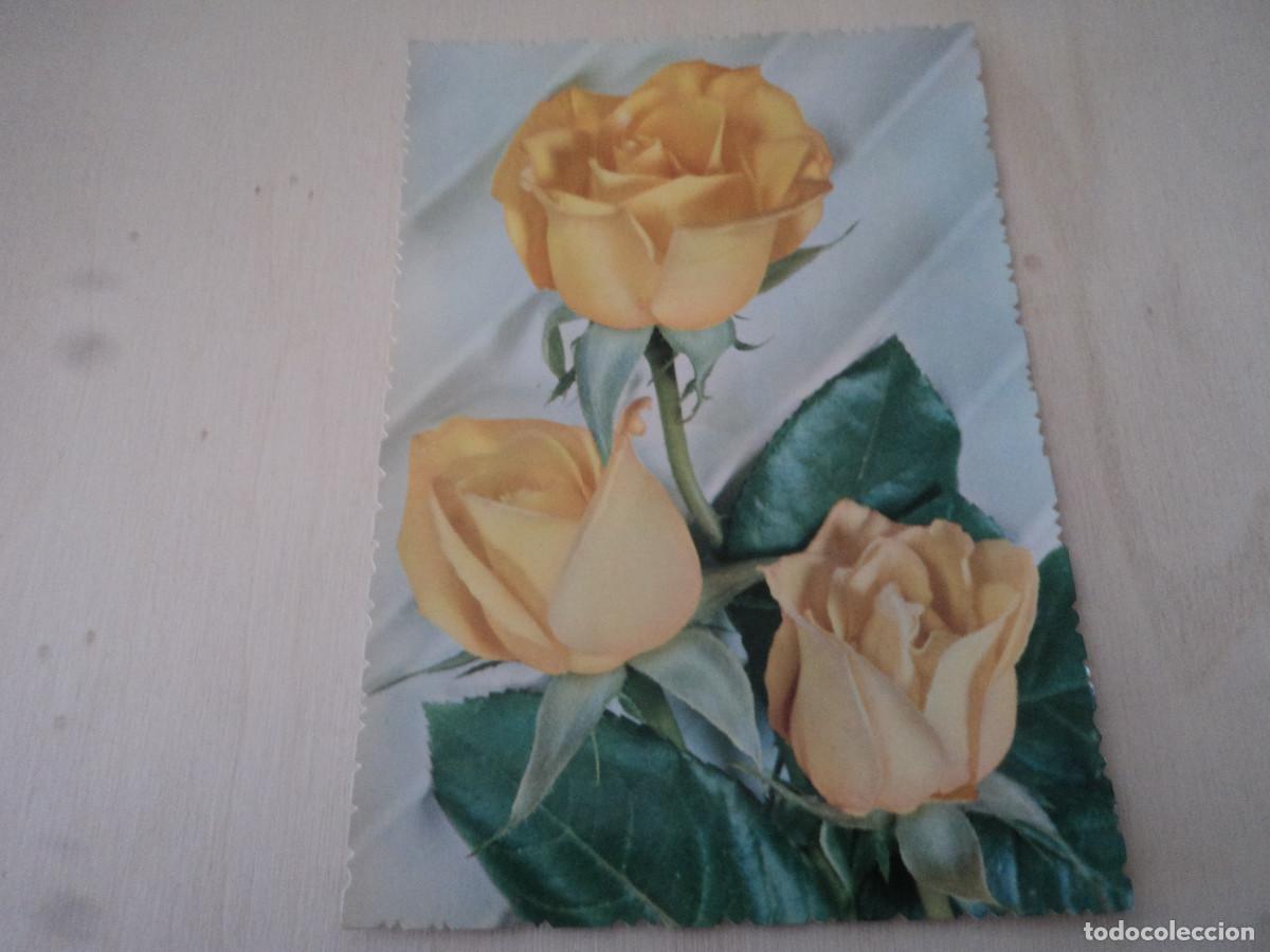 Postales: rosas, c y z 6158, circulada 1964 - Foto 1