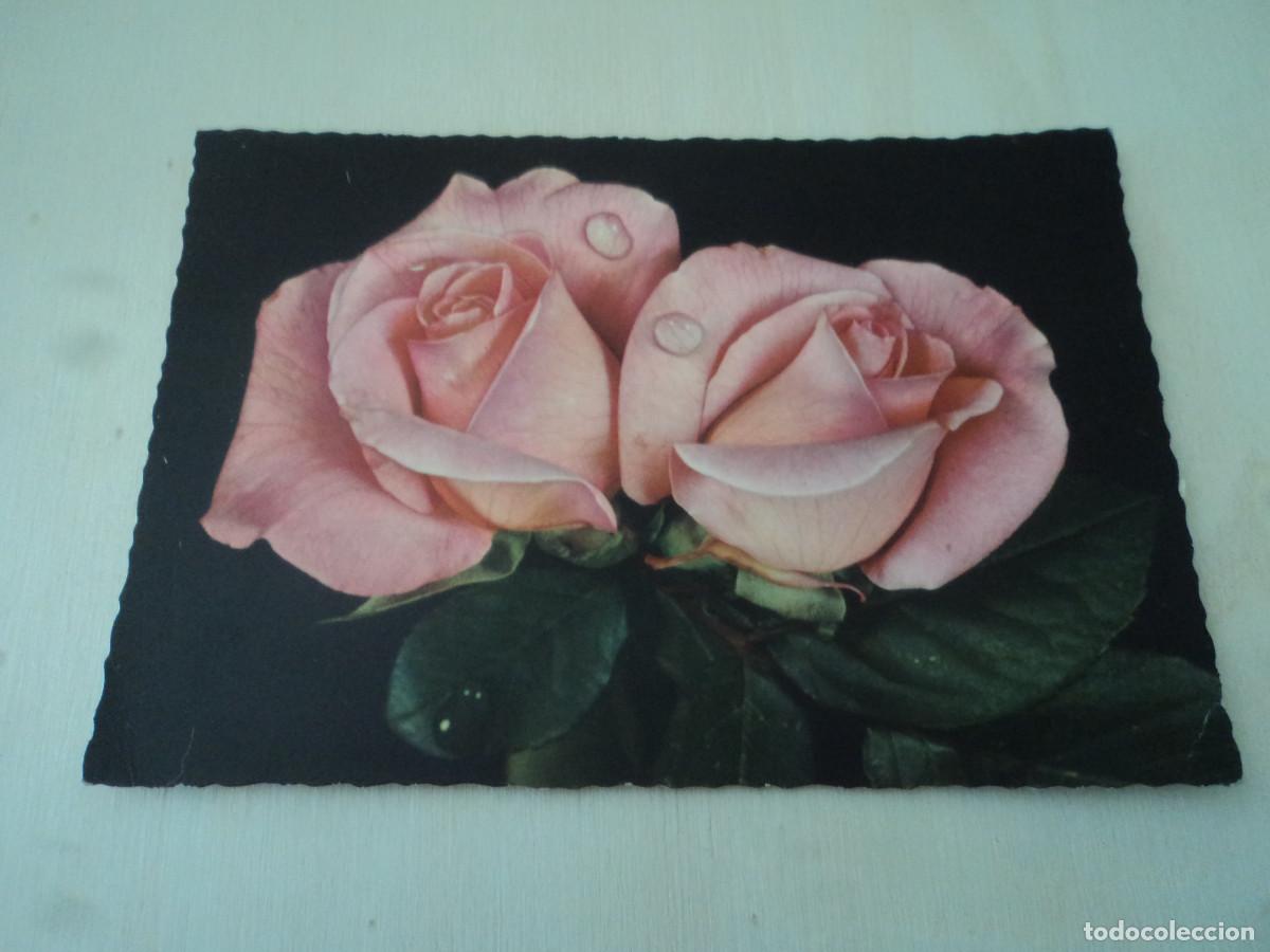 Postales: rosas, c y z 6036, circulada - Foto 1