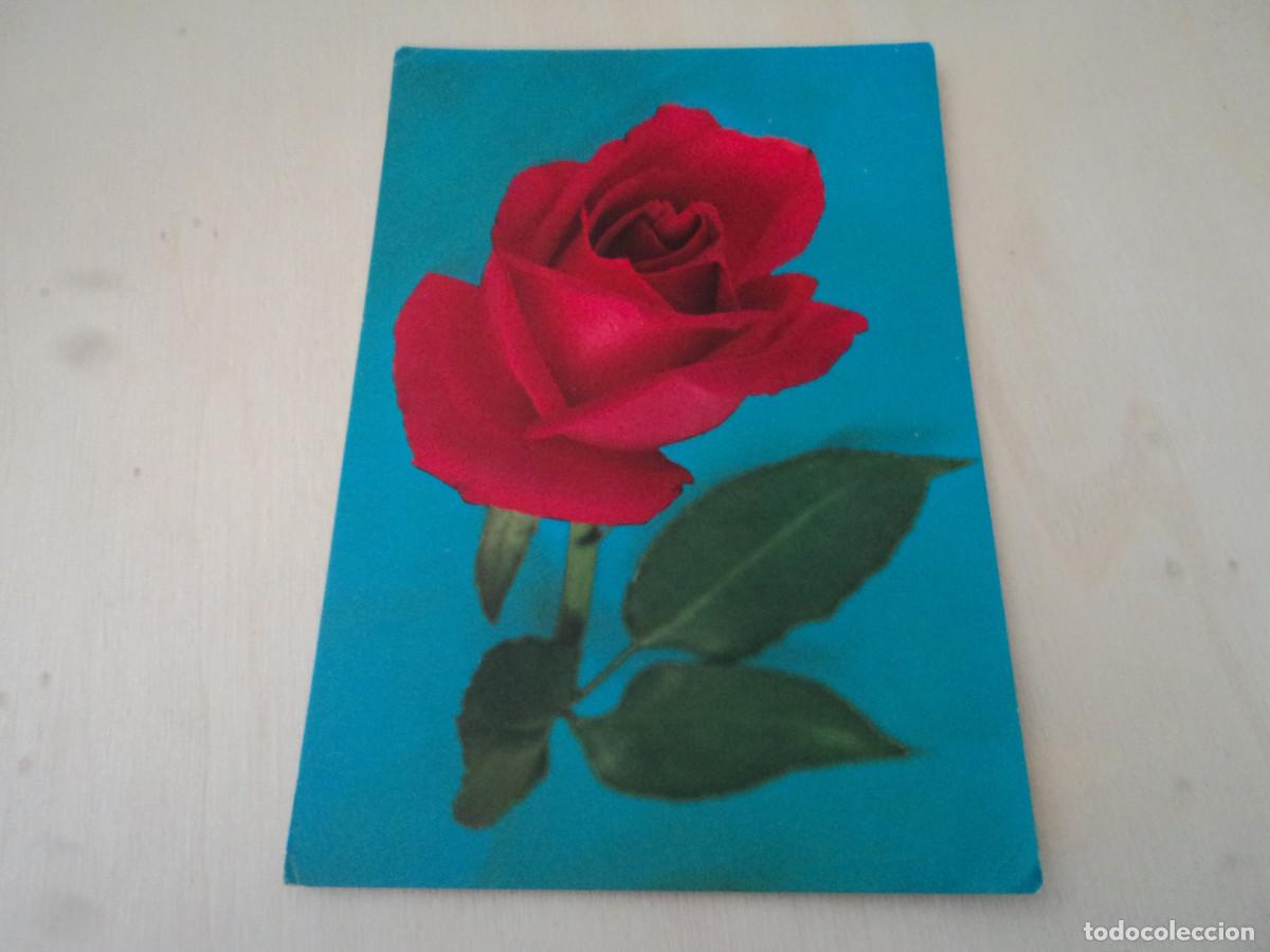 Postales: rosas, c y z 6698, circulada, 1967 - Foto 1