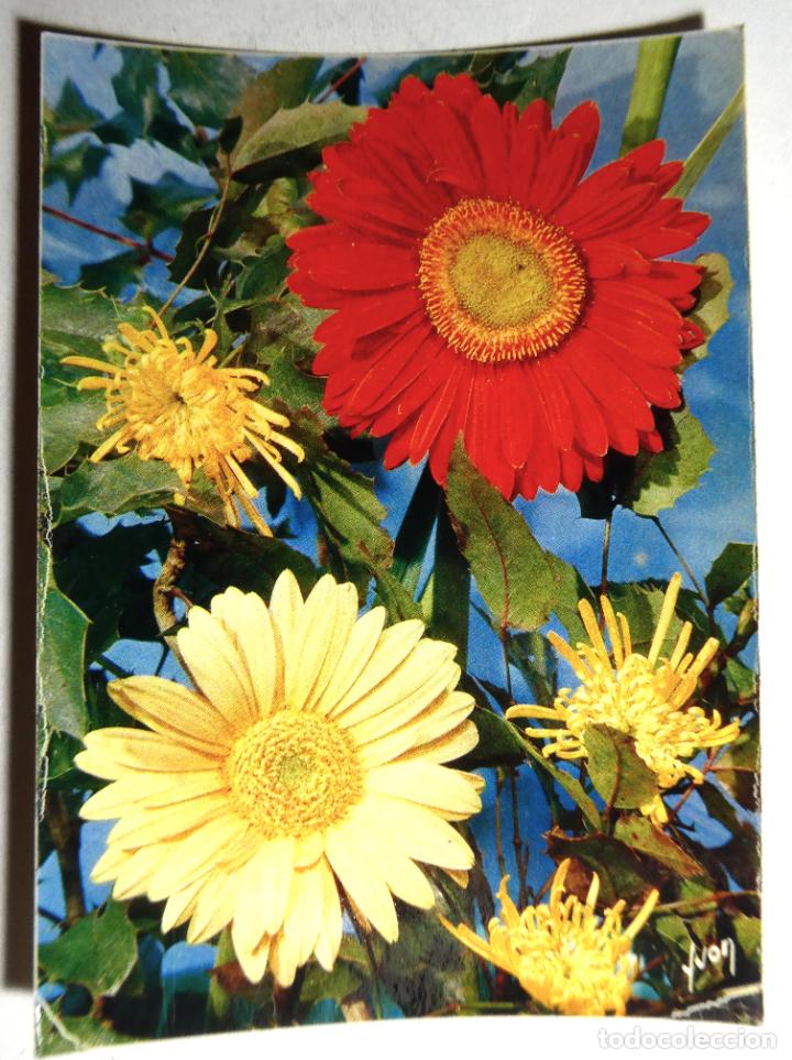 Postais: POSTAL DE FLORES