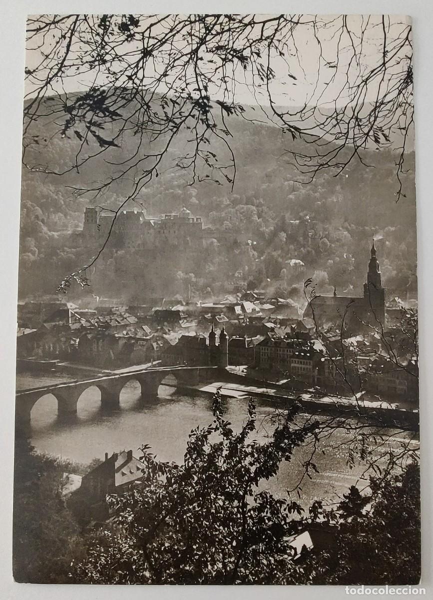 Postales: Posta Fotografica Alt Heldelberg - Foto 4