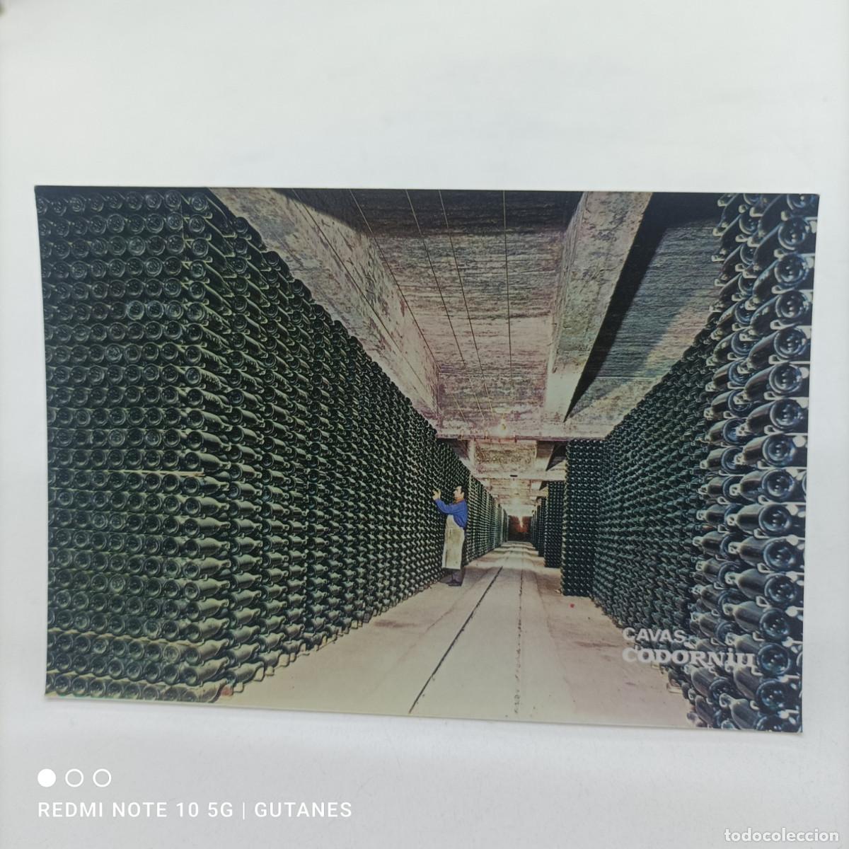 Postales: POSTAL- CAVAS CODORNIU - Foto 1